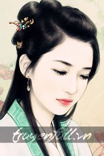 Truyện Kim Bình Mai Hoa Kỷ Nguyệt Khai