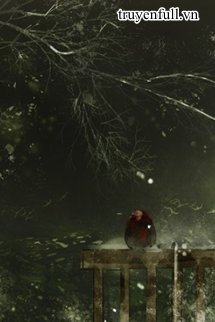 Truyện Kim Ngọc Kỳ Ngoại