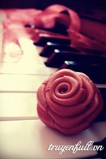 Truyện Kỳ Hôn - Cuộc Hôn Nhân Kỳ Lạ