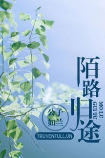 Truyện Lạc Lối Quay Về