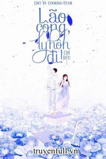 Truyện Lão Công, Ly Hôn Đi!