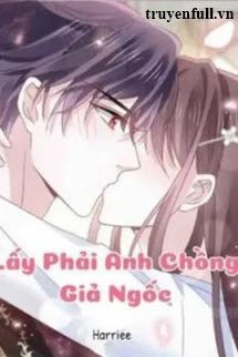 Truyện Lấy Phải Anh Chồng Giả Ngốc