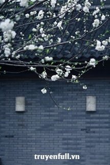 Truyện Lê Hoa Hựu Khai Phóng (Hoa Lê Lại Nở)