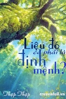 Truyện Liệu đó có phải là định mệnh?