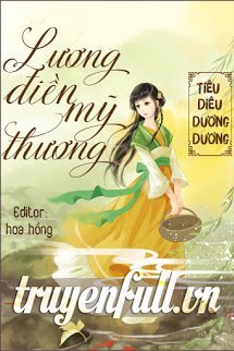 Truyện Lương Điền Mỹ Thương