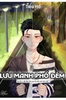 Truyện Lưu Manh Phố Đêm