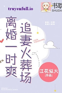 Truyện Ly Hôn Nhất Thời Sảng, Truy Thê Hỏa Táng Tràng