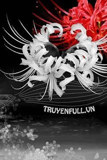 Truyện Mạn Đà La Hoa