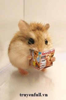 Truyện Mạt Thế Hamster Giàu Chảy Mỡ