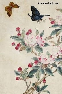 Truyện Mộng Điệp Kỳ Truyện