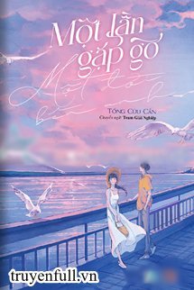 Truyện Một Lần Gặp Gỡ Một Đời Bên Anh