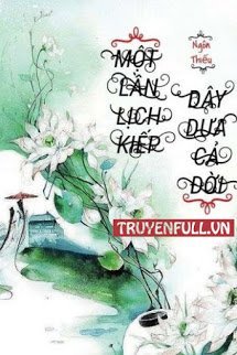 Truyện Một Lần Lịch Kiếp, Dây Dưa Cả Đời