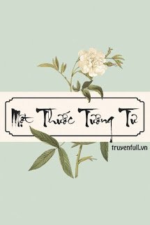 Truyện Một Thước Tương Tư