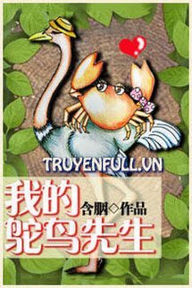 Truyện Mr Đà Điểu Của Tôi
