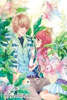 Truyện Nam Phụ Yêu Nữ Phụ