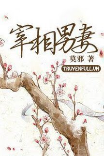 Truyện Nam thê của Tể tướng