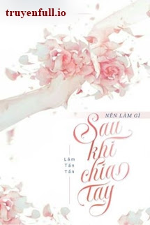 Truyện Nên Làm Gì Sau Khi Chia Tay - Lâm Tấn Tấn