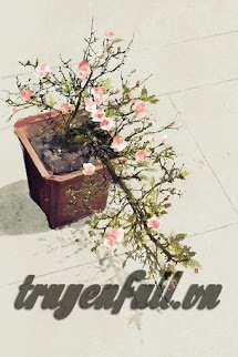 Truyện Nếu Có Biết Xuân Về Chốn Nọ