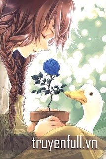 Truyện Nếu Em Ở Lại (If I Stay)