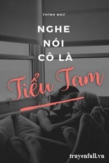 Truyện Nghe Nói Ngươi Là Tiểu Tam