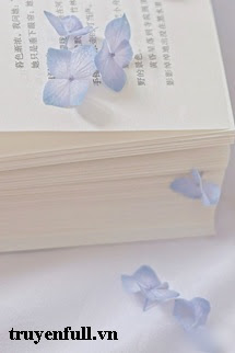 Truyện Người Phán Xử