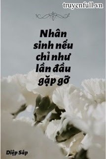 Truyện Nhân Sinh Nếu Chỉ Như Lần Đầu Gặp Gỡ