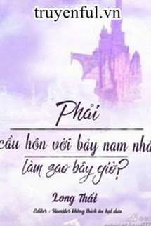 Truyện Nhất Định Phải Cầu Hôn Bảy Vị Nam Nhân, Làm Sao Giờ!