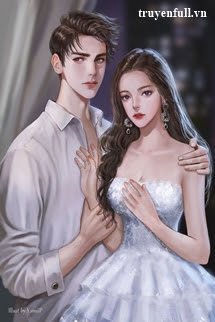 Truyện Nhật Kí Cưa Đổ Sếp Tổng