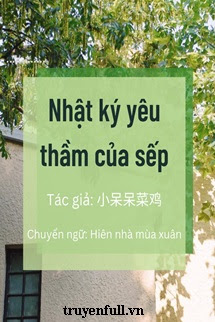 Truyện Nhật Ký Yêu Thầm Của Sếp