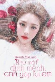 Truyện Như Một Định Mệnh, Anh Gặp Lại Em