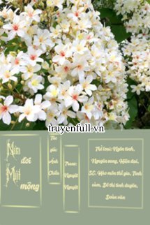 Truyện Nửa Đời Một Mộng