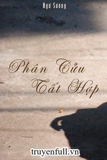 Truyện Phân Cửu Tất Hợp