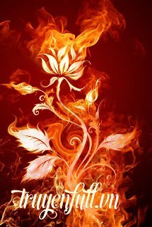 Truyện Phượng Hoàng Hồi Sinh