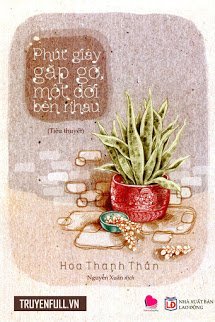 Truyện Phút Giây Gặp Gỡ, Một Đời Bên Nhau