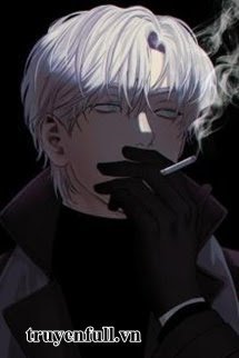 Truyện Sát Thủ Ở Rể