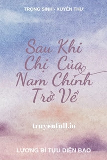 Truyện Sau Khi Chị Của Nam Chính Trọng Sinh