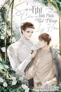 Truyện Sau Khi Cùng Tinh Phân Bá Tổng Ly Hôn