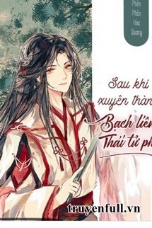 Truyện Sau Khi Xuyên Thành Bạch Liên Thái Tử Phi