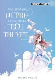 Truyện Sau Khi Xuyên Thành Nữ Phụ Của Hai Quyển Tiểu Thuyết