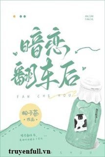 Truyện Sau Khi Yêu Thầm Bị Lật Xe
