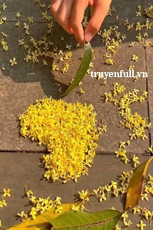 Truyện Tên Của Anh Ấy