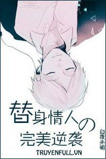 Truyện Thế Thân Tình Nhân Đích Hoàn Mỹ Nghịch Tập