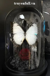 Truyện Thiếu Nữ Mặc Váy Hoa Nhí Trong Lồng Giam