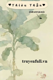 Truyện Thiêu Thân