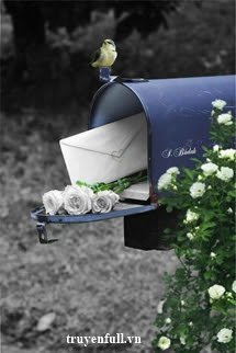 Truyện Thư Tỏ Tình