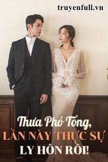Truyện Thưa Phó Tổng, Lần Này Thực Sự Ly Hôn Rồi!