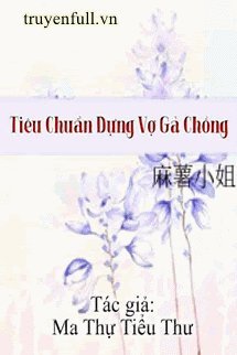 Truyện Tiêu Chuẩn Dựng Vợ Gả Chồng