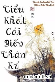 Truyện Tiểu Khất Cái Biến Thân Ký