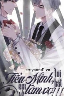 Truyện Tiểu Minh, Tôi Bắt Em Về Làm Vợ !!!