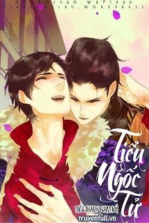 Truyện Tiểu Ngốc Tử